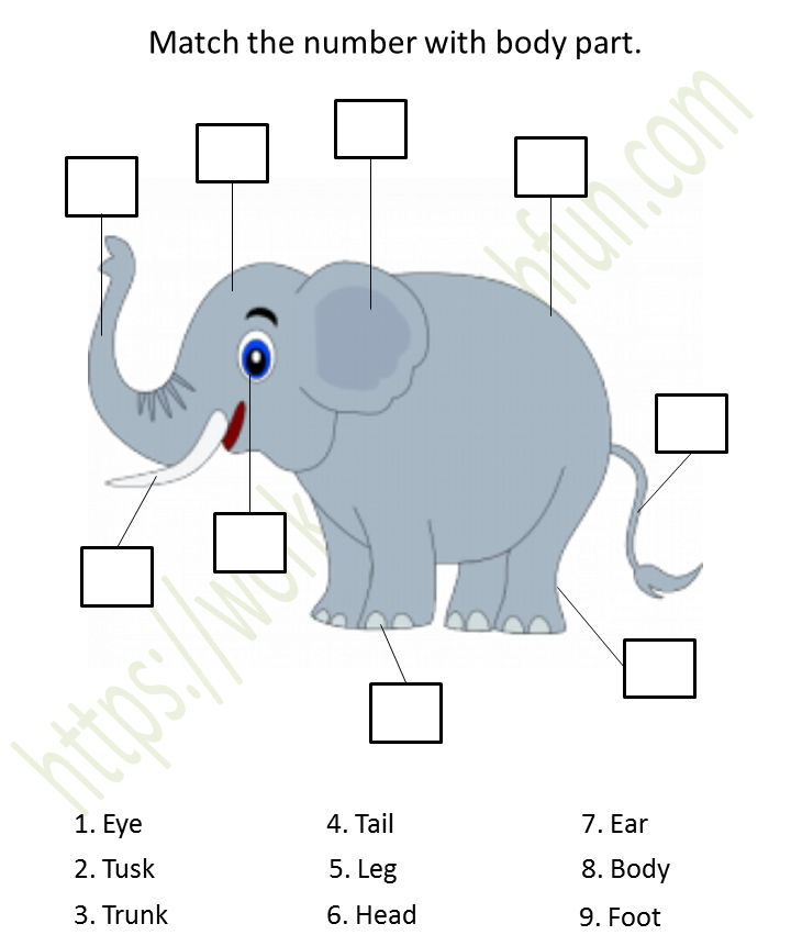 body parts evs worksheet for nursery class course environmental